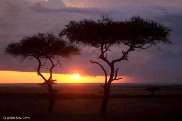 06-7-MaasaiMaraSunset