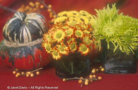 Mums in Votives