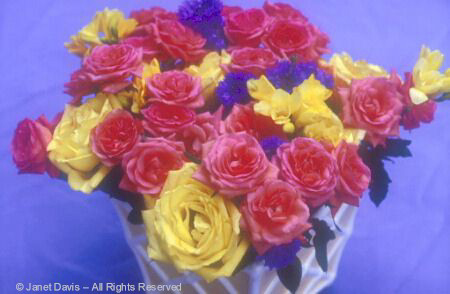 Roses and Cornflowers