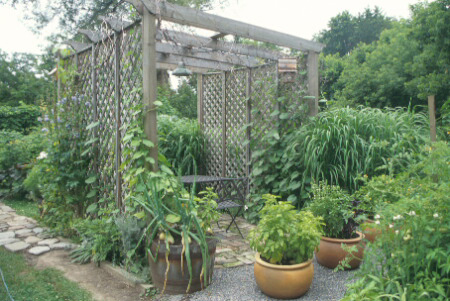 Dining Pergola