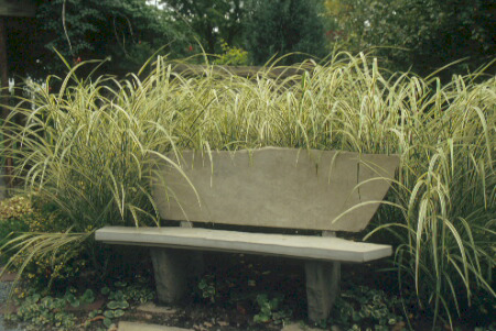 Stone Bench