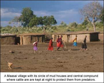 5 Fascinating Facts About the Maasai People - Micato Safaris