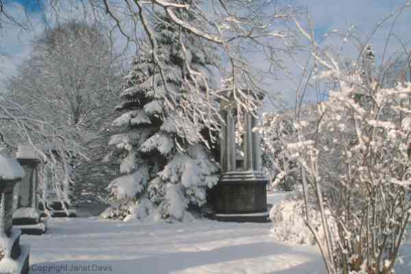 04-01-Snowy Landscape