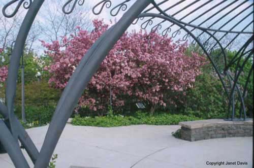 18-Pavilion-&-Crabapple