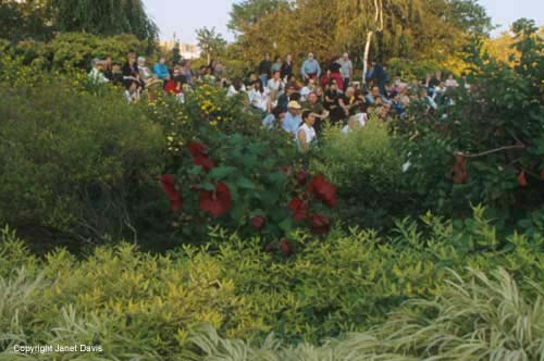 26-Audience&Gardens