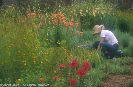 Adirondacks - Gardener at Fort Ticonderoga