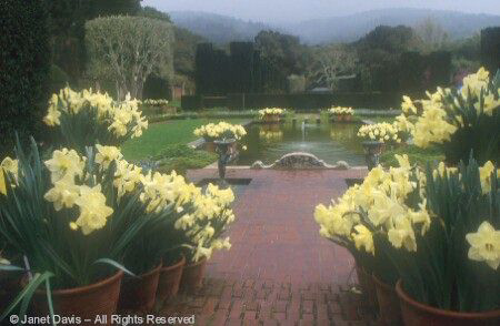 California - Pool at Filoli