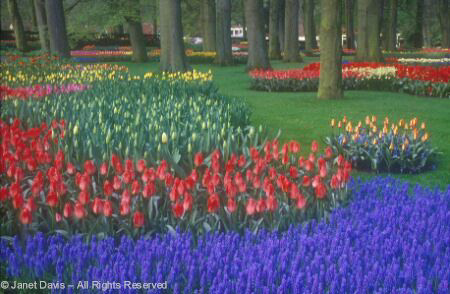 Holland - Keukenhof Gardens