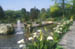 Vancouver- VanDusen Gardens - Pool