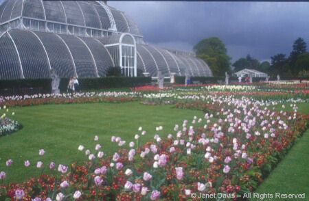 London - Glass House at Kew