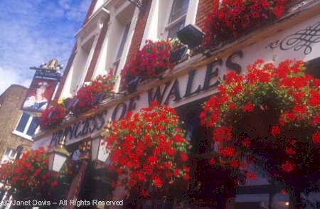 London - Pub Flowers