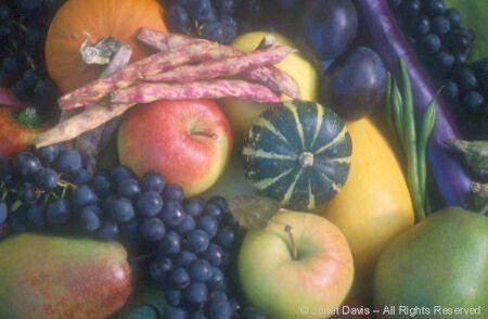 Array of Fruit