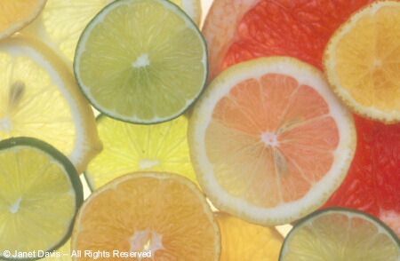 Citrus Slices