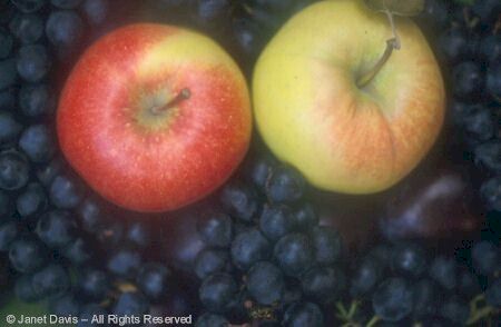 Grapes and apples