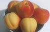 Bowl of Apricots